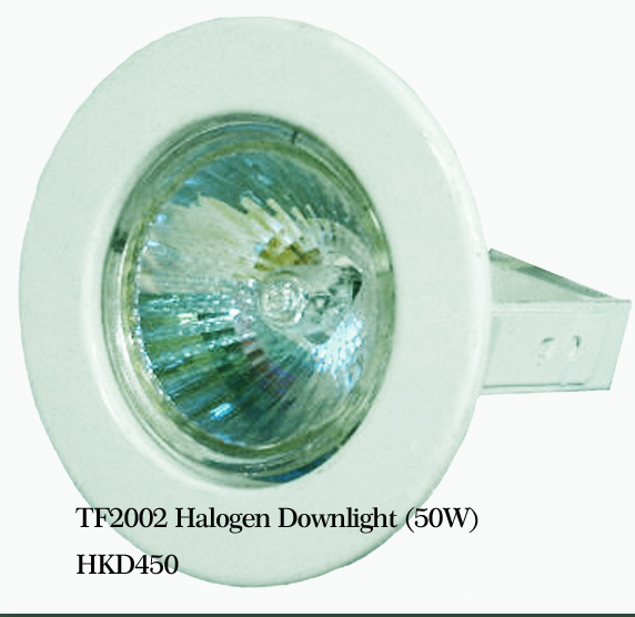 TF2002 Halogen Downlight 